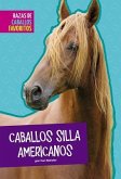 Caballos Silla Americanos