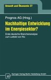 Nachhaltige Entwicklung im Energiesektor? (eBook, PDF)