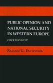 Public Opinion and National Security in Western Europe (eBook, PDF)