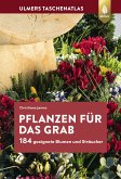 Pflanzen für das Grab (eBook, PDF)