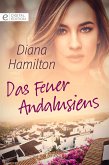 Das Feuer Andalusiens (eBook, ePUB)