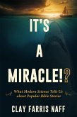 It's a Miracle!? (eBook, ePUB)