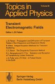Transient Electromagnetic Fields (eBook, PDF)