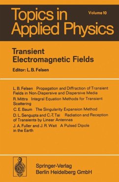 Cover Transient Electromagnetic Fields (eBook, PDF)