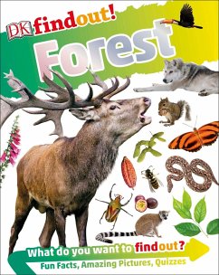 DKfindout! Forest (eBook, ePUB) - Dk