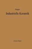 Industrielle Keramik (eBook, PDF)