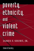 Poverty, Ethnicity, And Violent Crime (eBook, ePUB)