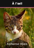 À l'oeil (eBook, ePUB) À l'oeil (eBook, ePUB)