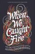 When We Caught Fire (eBook, ePUB) - Bild 1