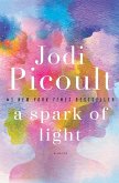 A Spark of Light (eBook, ePUB)