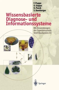 Wissensbasierte Diagnose- und Informationssysteme (eBook, PDF) - Puppe, Frank; Gappa, Ute; Poeck, Karsten; Bamberger, Stefan