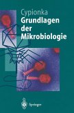 Grundlagen der Mikrobiologie (eBook, PDF)