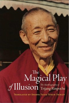Cover The Magical Play of Illusion (eBook, ePUB)