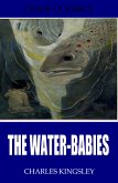 The Water-Babies (eBook, ePUB)