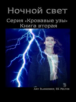 Ночной свет (eBook, ePUB) - Blankenship, Amy