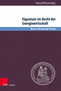 Eigentum im Recht der Energiewirtschaft (eBook, PDF)