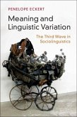 Meaning and Linguistic Variation (eBook, PDF)