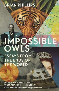 Impossible Owls (eBook, ePUB) - Phillips, Brian