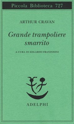 Cover Grande trampoliere smarrito