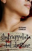 Intrappolata dal destino (eBook, ePUB)