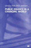 Public Finance in a Changing World (eBook, PDF)