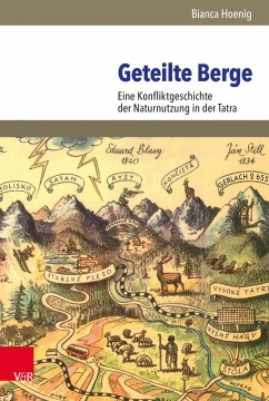 Geteilte Berge (eBook, PDF) - Hoenig, Bianca
