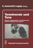 Tonminerale und Tone (eBook, PDF)