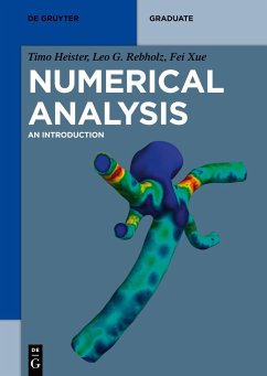 Numerical Analysis - Heister, Timo;Rebholz, Leo G.;Xue, Fei