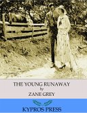 The Young Runaway (eBook, ePUB)