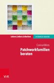 Patchworkfamilien beraten (eBook, PDF)