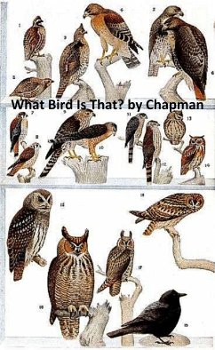 What Bird is That? (eBook, ePUB) - Chapman, Frank