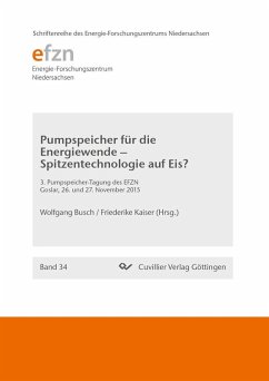 Pumpspeicher für die Energiewende – Spitzentechnologie auf Eis? (eBook, PDF)