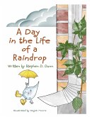 A Day In The Life Of A Raindrop