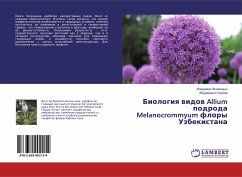 Biologiq widow Allium podroda Melanocrommyum flory Uzbekistana
