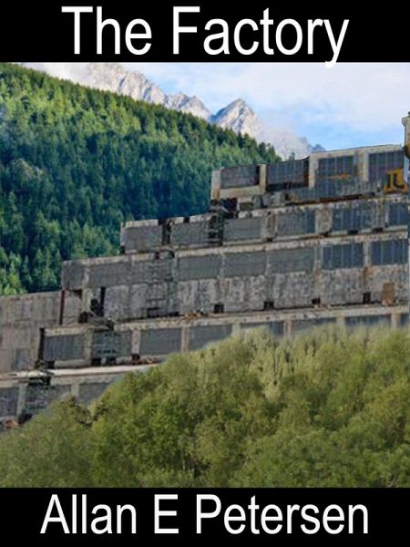 The Factory (eBook, ePUB)