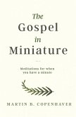 The Gospel in Miniature (eBook, ePUB)