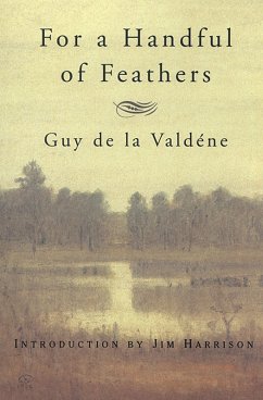 Cover For a Handful of Feathers (eBook, ePUB)