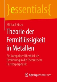 Theorie der Fermiflüssigkeit in Metallen - Kinza, Michael