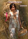 Alone Under The Stars (eBook, ePUB)