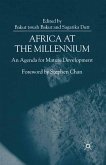 Africa at the Millenium (eBook, PDF)