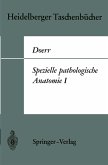 Spezielle pathologische Anatomie I (eBook, PDF)