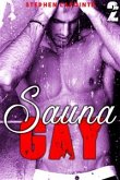 Sauna Gay - Tome 2 (eBook, ePUB)