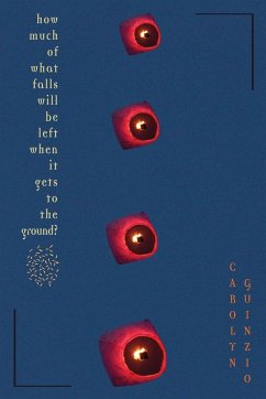 How Much Of What Falls Will Be Left When It Gets To The Ground? - Guinzio, Carolyn