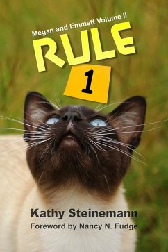 Rule 1: Megan and Emmett Volume II (eBook, ePUB) - Steinemann, Kathy