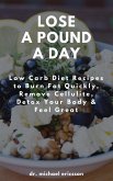 Lose a Pound a Day: Low Carb Diet Recipes to Burn Fat Quickly, Remove Cellulite, Detox Your Body & Feel Great (eBook, ePUB)