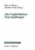 Alte Ungleichheiten Neue Spaltungen (eBook, PDF)
