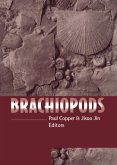 Brachiopods (eBook, PDF)