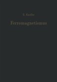 Ferromagnetismus (eBook, PDF)