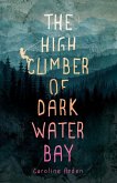 The High Climber of Dark Water Bay (eBook, ePUB)