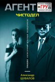 Чистодел (eBook, ePUB)